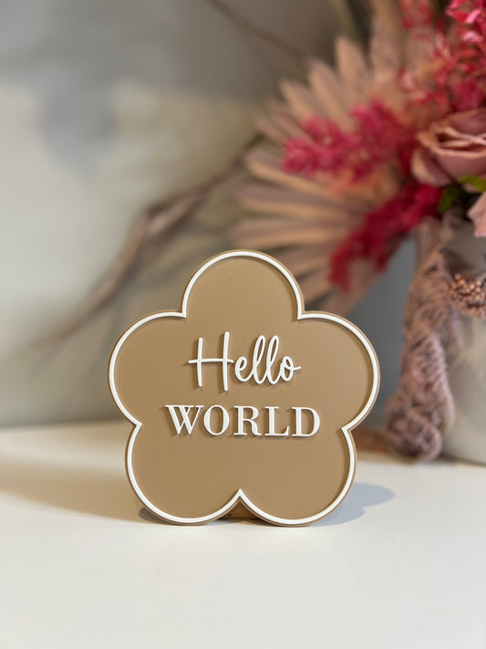Hello World Announcment Plaque